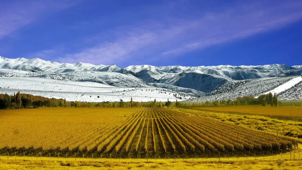 Mendoza